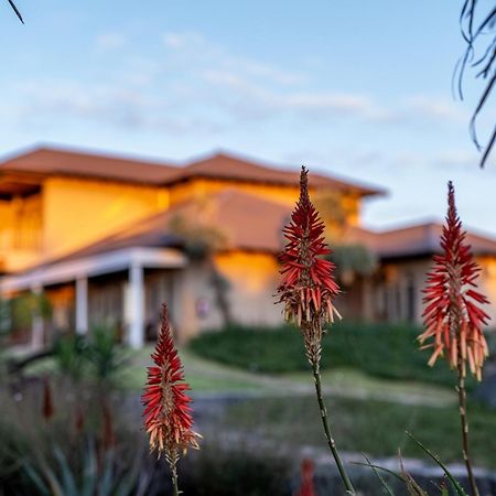 Blue Rain Guest House Bloemfontein Exterior photo