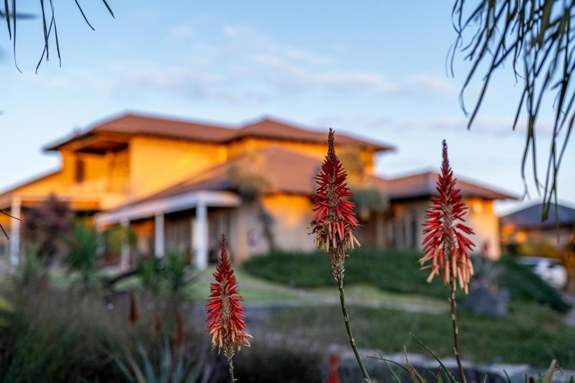 Blue Rain Guest House Bloemfontein Exterior photo