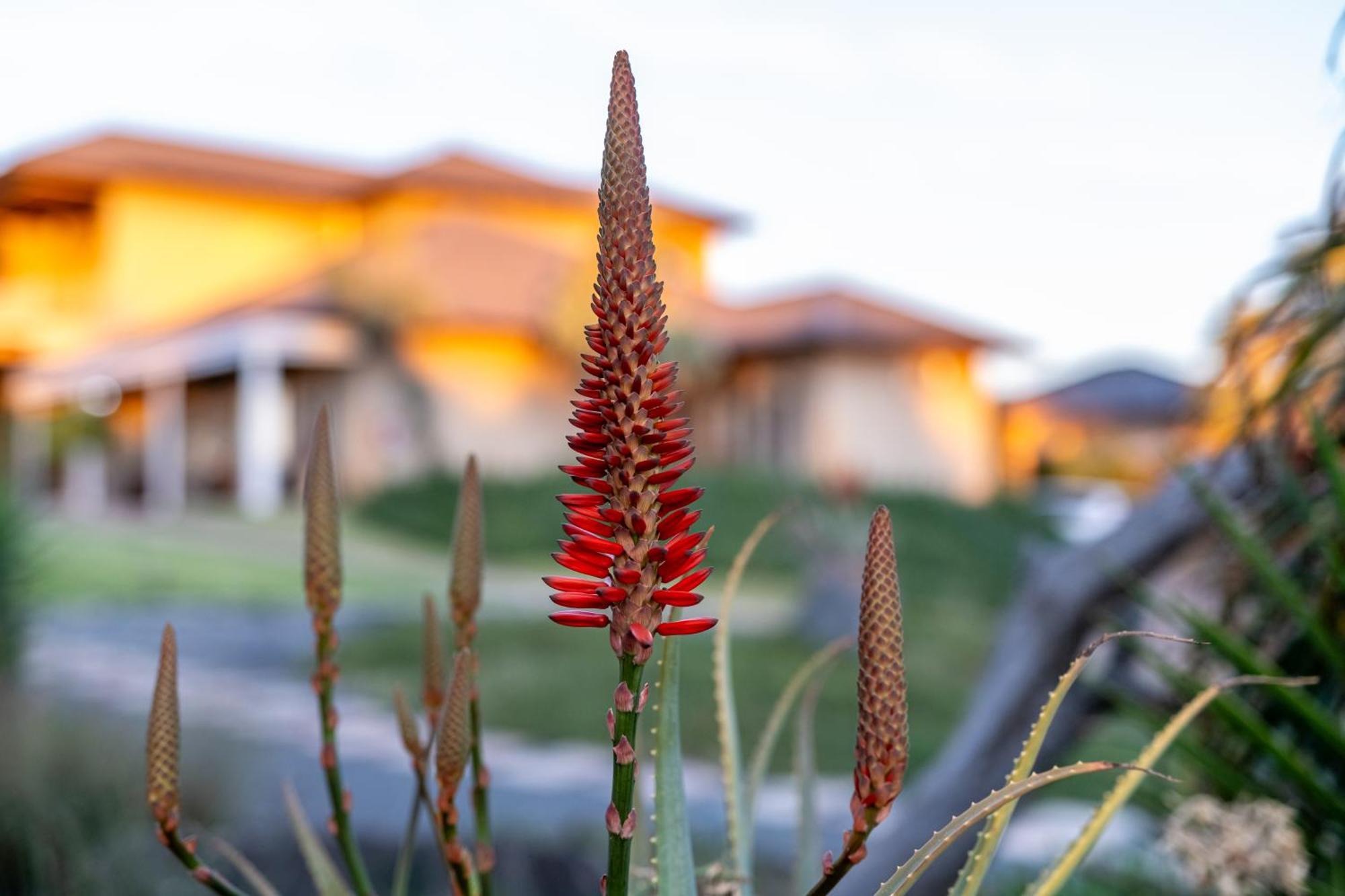 Blue Rain Guest House Bloemfontein Exterior photo